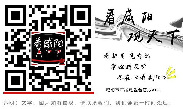 重点项目观摩 年产值16亿元！兴平这里将成为西北地区最大精密模具加工基地 ！(图4)